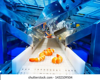 Equipment For Seafood Processing. The Technology Of Quick Freezing Shrimp. Conveyor For Processing Sea Products. Shrimp Conveyor. Production Of Frozen Semi-finished Products. Food Industry.