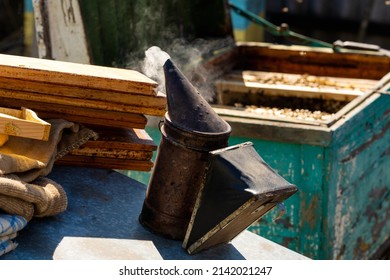 Equipment for smoking bees to keep them calm. Beekeeping. The beekeeper uses a smoking metal container that creates dense smoke. High quality photo