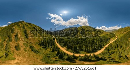 Equirectangular 360 degree aerial panorama of dirt road winding through evergreen trees and grassy slopes under bright blue sky in Kyrgyzstan.