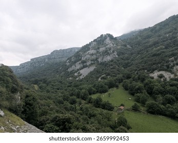 Equirectangular. Panoramic view of a rugged mountain valley with lush green - Escape to a serene valley surrounded by rugged rocks, vibrant greenery, and a hint of red, set against a backdrop of.