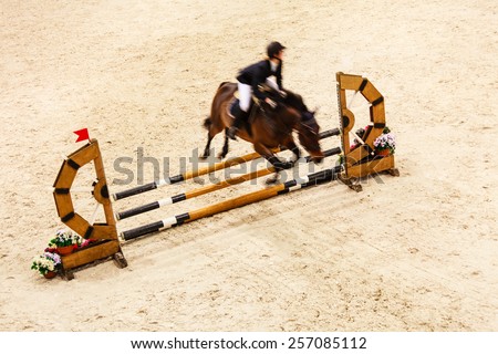 Similar – Image, Stock Photo Show jumper Show jumping