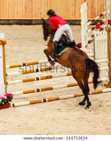 Similar – Image, Stock Photo Show jumper Show jumping