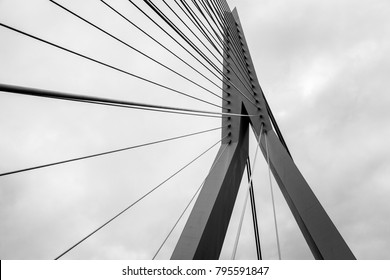 The Erasmus Bridge Lines