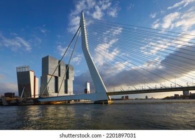 Erasmus bridge Rotterdam with blue sky panorama skyline