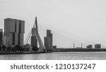 Erasmus cable-stayed bridge over the Meuse river with buildings in the background, cityscape of the city of Rotterdam, South Holland in the Netherlands. Black and white photography