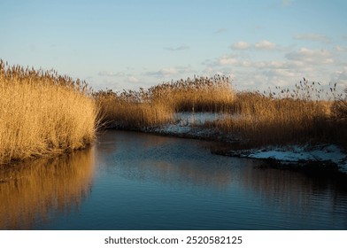 erene coastal scene with golden sand dunes and windswept beach grass under a bright blue sky. Perfect for themes of tranquility, nature's beauty, and seaside relaxation. - Powered by Shutterstock