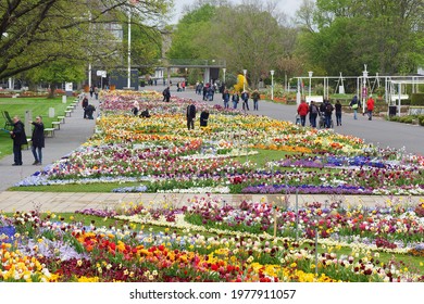 Erfurt,Thuringia Germany may 15 2021  Flower exhibition in Botanic Garden"
