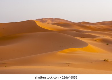 Erg Chebbi In Morocco