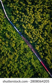 erial top view of a passenger train cutting through a dense green forest at sunset.