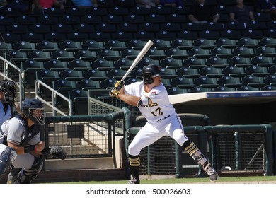 Eric Wood Outfielder For The Surprise Saguaros At Surprise Stadium In Surprise AZ USA 10-17-2016.