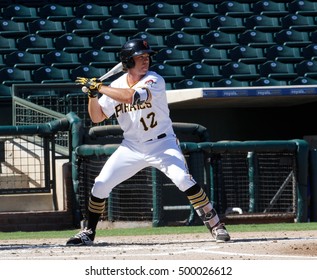 Eric Wood Outfielder For The Surprise Saguaros At Surprise Stadium In Surprise AZ USA 10-17-2016.