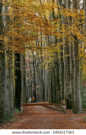 Ermelo, Gelderland  Netherlands - 11 17 23: hiking in a beautiful colorful autumn forest (portrait). The name on the beam is Speulder-Sprielderbos, which is the name of this a public forest (bos-fores
