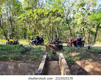 Ernakulam, Kerala - 16 January 2022 - Motorcycles lined up in a forest. 