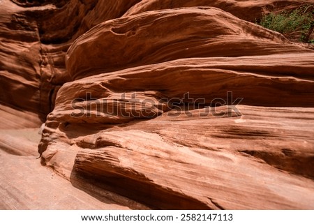 Eroded by water and wind cliffs in the canyon, Little Wild Horse Canyon, San Rafael Swell, Utah