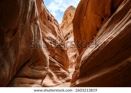 Eroded by water and wind cliffs in the canyon, Little Wild Horse Canyon, San Rafael Swell, Utah USA