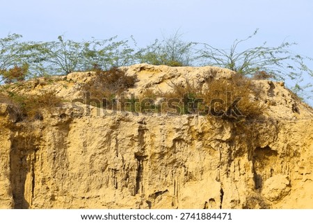 Eroded cliff face with sparse vegetation rising against a clear blue sky in a deserted arid landscape highlighting natural textures and earth tones