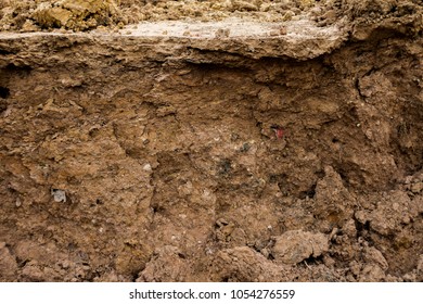 10,424 Ground cross section Images, Stock Photos & Vectors | Shutterstock