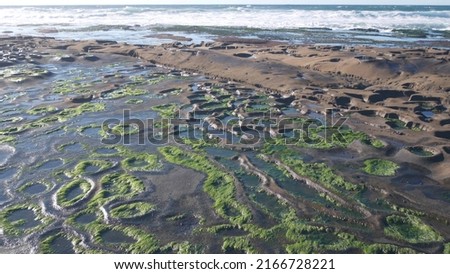 Eroded rock formation, tide pool in La Jolla, California coast, USA. Littoral intertidal zone erosion, unusual relief shape of tidepool. Water in cavity, hollows and holes on stone surface, low tide.
