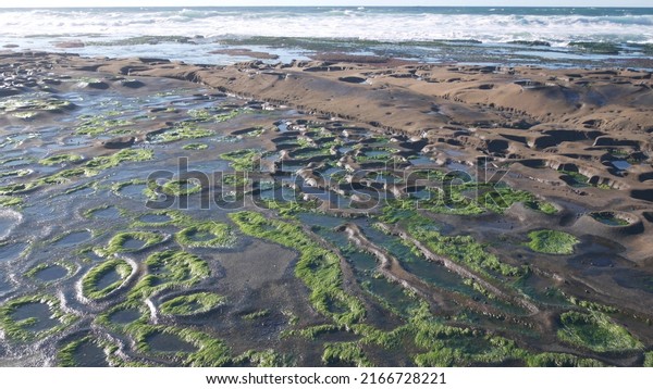 Eroded rock formation, tide pool in La Jolla,\
California coast, USA. Littoral intertidal zone erosion, unusual\
relief shape of tidepool. Water in cavity, hollows and holes on\
stone surface, low tide.