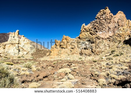 Similar – Image, Stock Photo desert guard Colour photo