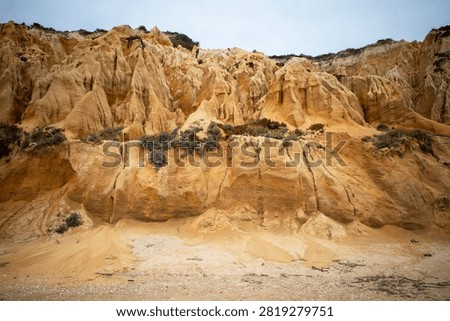 Eroded Sandstone Cliff Face on Beach