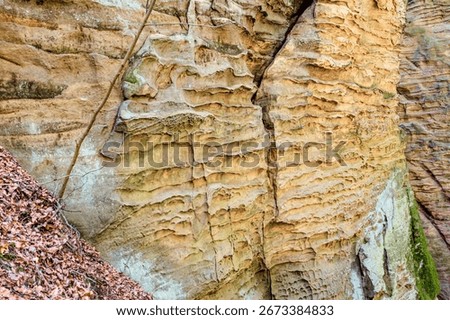 Eroded sandstone cliffs with natural patterns and rock formations in a forest setting.