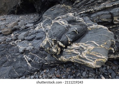 An Eroded Slate Boulder At The Site Of Special Scientific Interest Rusey Beach Cornwall