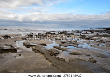 Eroding coast rocky platform exposed exposed at low tide. Location: Auckland New Zealand