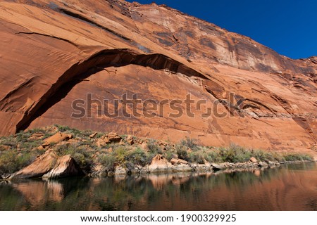 Eroding sandstone canyon walls creating a large arch pattern above a debris filled shoreline with hearty brush next to the Colorado River as it flows through Glen Canyon in Arizona.