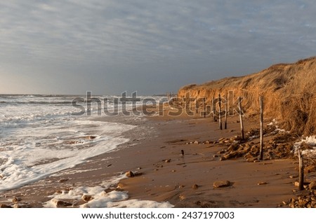 Erosion of the beach and dunes of la Paracou by the high tide of March 2024 in Les Sables d'Olonne, France