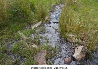 Erosion On The Footpath Through A Peat Bog In Snowdonia National Park, Wales, UK.