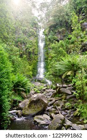 Erskine Waterfall, Lorne, Australia