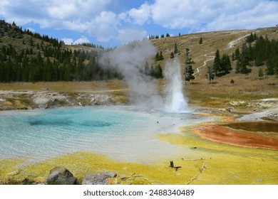 An erupting geyser with colorful mineral deposits around a hot spring in Yellowstone National Park, USA, surrounded by green hills and blue skies. - Powered by Shutterstock