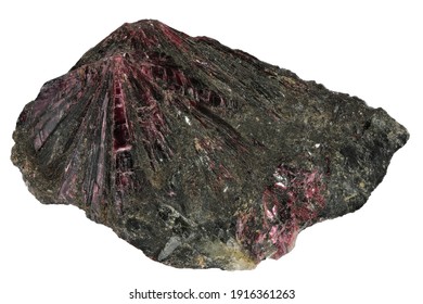 erythrite (cobalt bloom) from Bou Azzer, Morocco isolated on white background - Shutterstock ID 1916361263