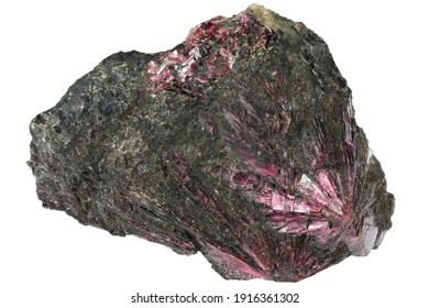 erythrite (cobalt bloom) from Bou Azzer, Morocco isolated on white background - Shutterstock ID 1916361302