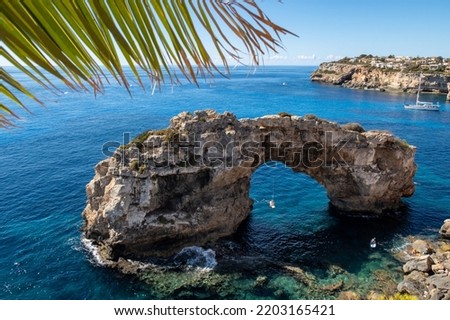 Es Pontas natural arch in the sea with a palm leaf.