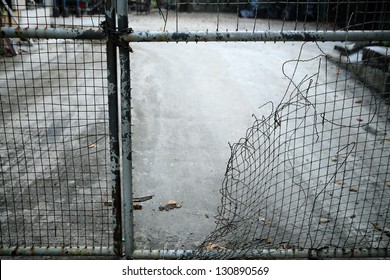 escape from wire mesh fence