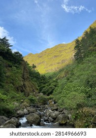 Escaping the hustle and bustle of the city🍃

