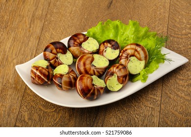 Escargot With Cheese Cream On Salad Leaves