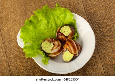 Escargot With Cheese Cream On Salad Leaves