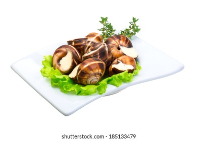 Escargot With Cheese Sauce