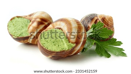escargot snail filled with garlic and parsley butter isolated on white background