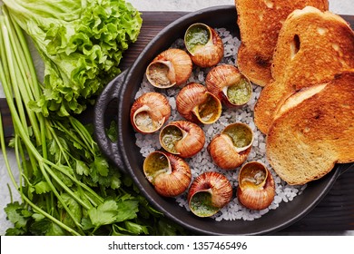 Escargots de Bourgogne - Snails with herbs butter on gray background. Salad