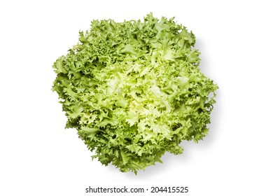 Escarole 