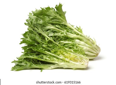 Escarole Endive