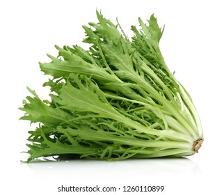 Escarole Endive Isolated On White Backgrounds