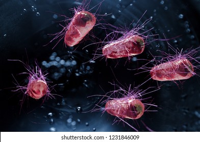 Escherichia coli également connu sous le nom de concept scientifique de la santé des bactéries Ecoli