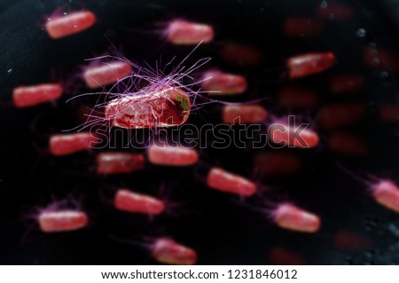 Escherichia coli also known as Ecoli bacteria health science concept