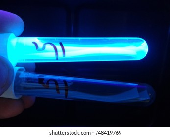 Esculin test for drinking water analysis under UV-light