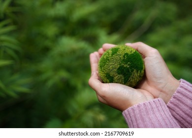 ESG Banner - Environment, Society and Corporate Governance The information banner calls to commemorate this company's contributions to environmental and social issues. - Shutterstock ID 2167709619